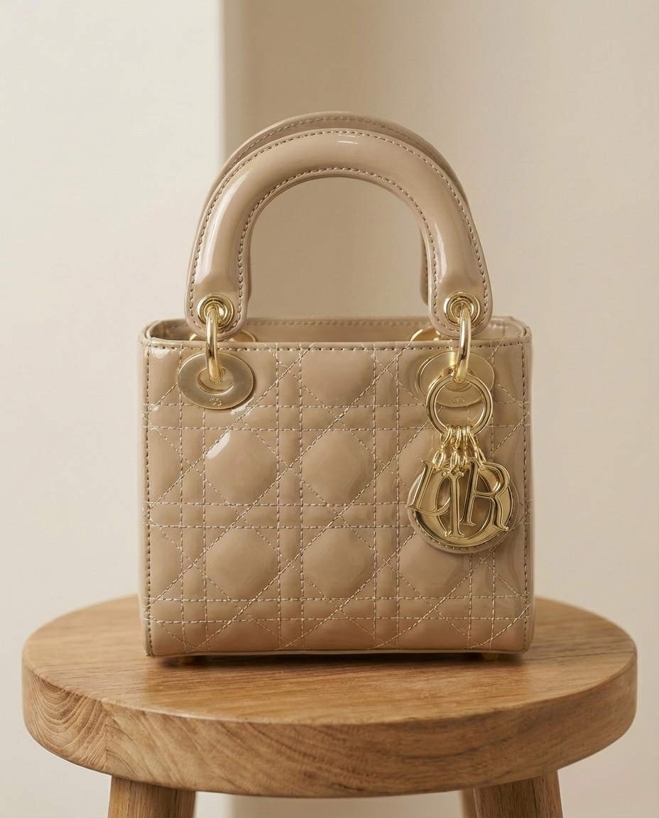 Sac Dior 20 cm